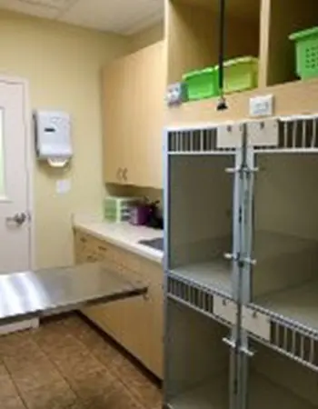 A room with two metal shelves and a table.