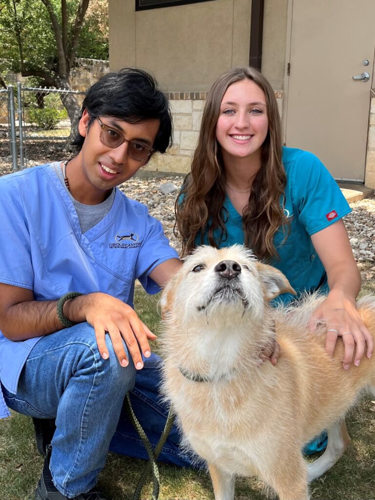 Boarding Cibolo Canyons Veterinary Hospital