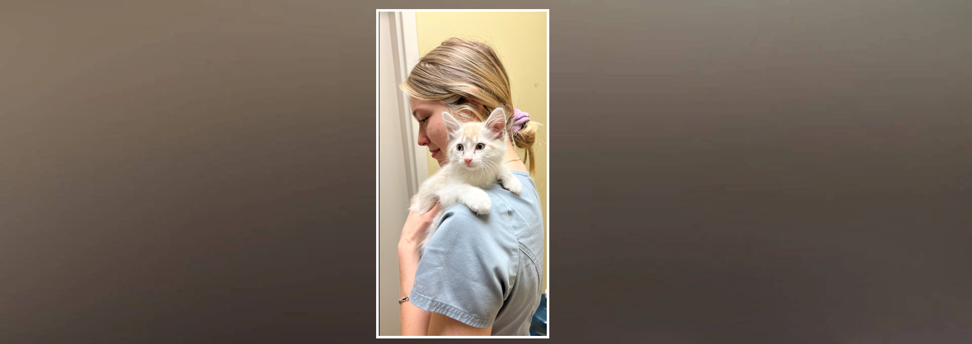 A woman holding a white cat in her arms.