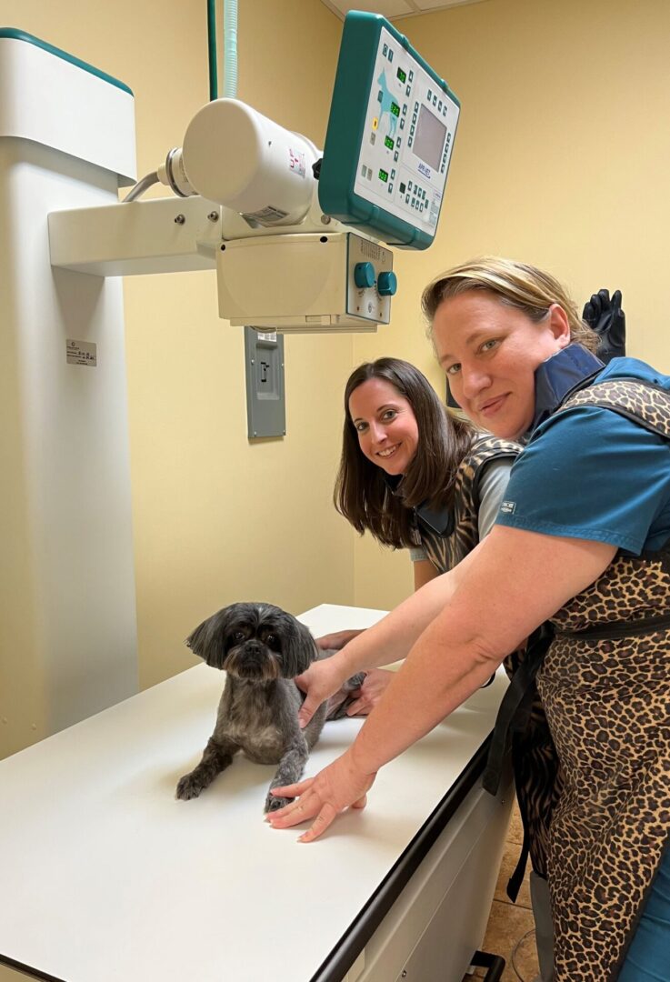 Two women and a dog in the operating room.