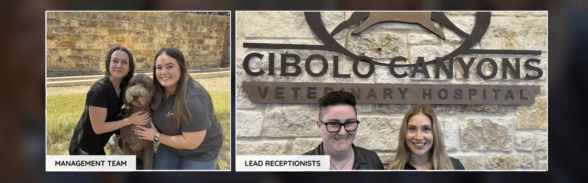 Cibolo Canyons Veterinary Hospital staff with dog